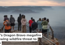 Tourists watch smoke from the Dragon Bravo wildfire float through the Grand Canyon. Scott Olson/Getty Images